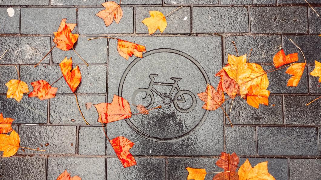 Herfstbladeren op fietspad_Photo by Merve Selcuk Simsek on Unsplash