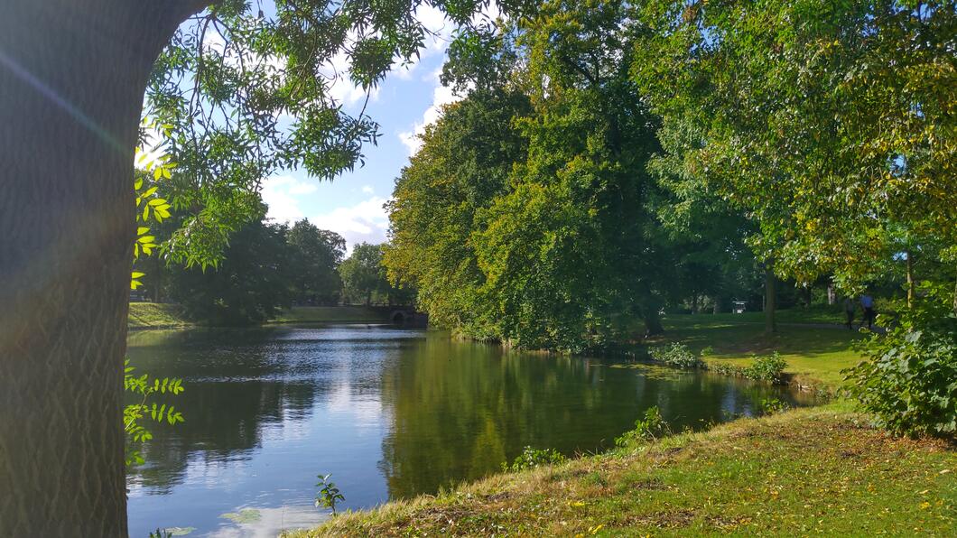 Rijsterborgherpark