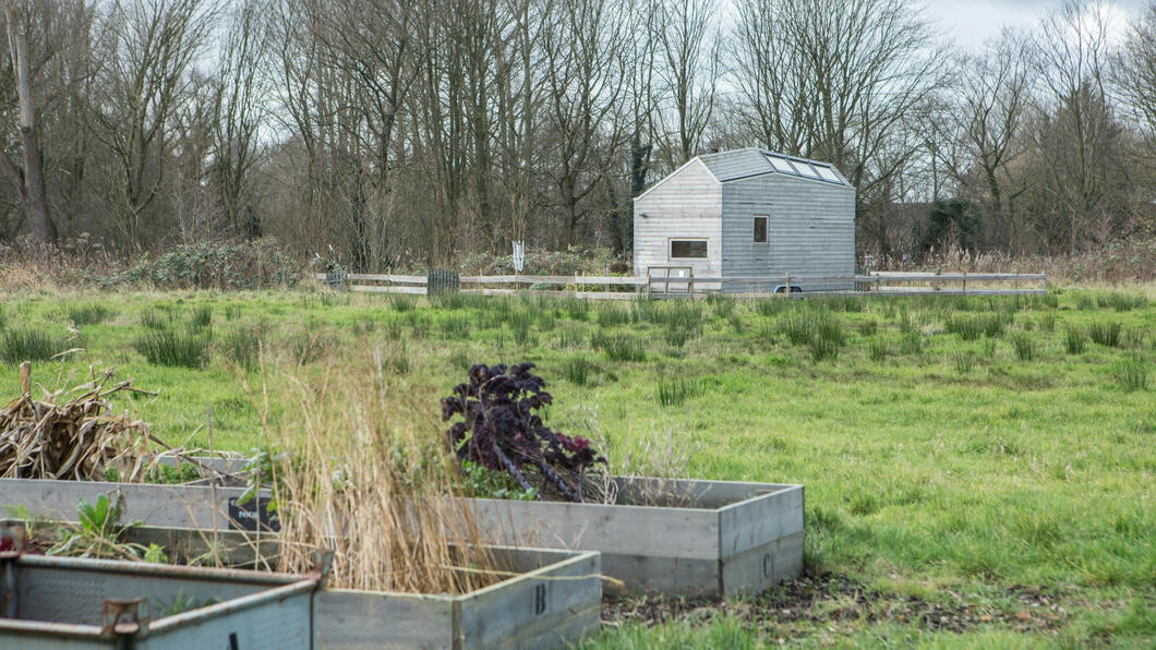 Ter illustratie: een moestuin in de natuur