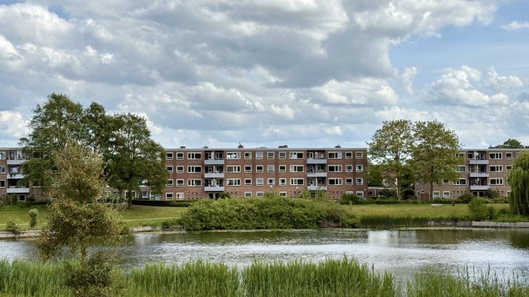 Rijen flatgebouwen Zandweerd met op de voorgrond een vijver