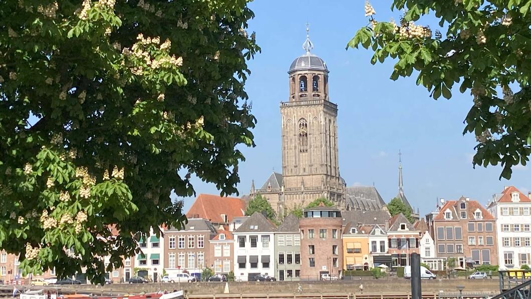 Skyline Deventer met kastanjebomen