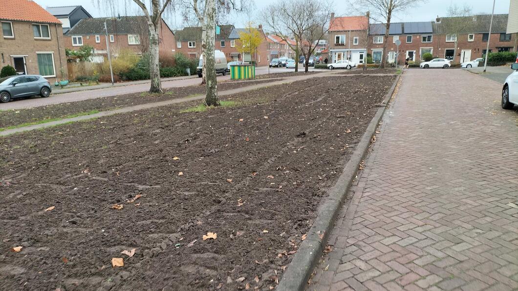 Natuurstrook Oldenielstraat zonder beplanting