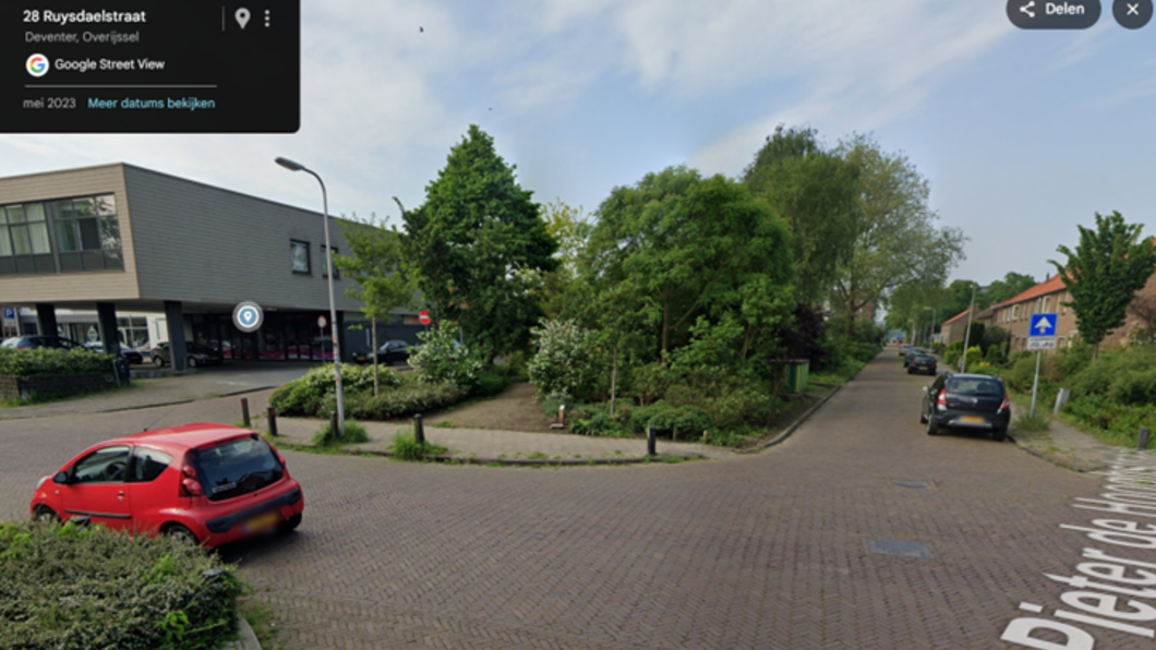 De strook natuur zoals zoals die was, meet planten en struiken