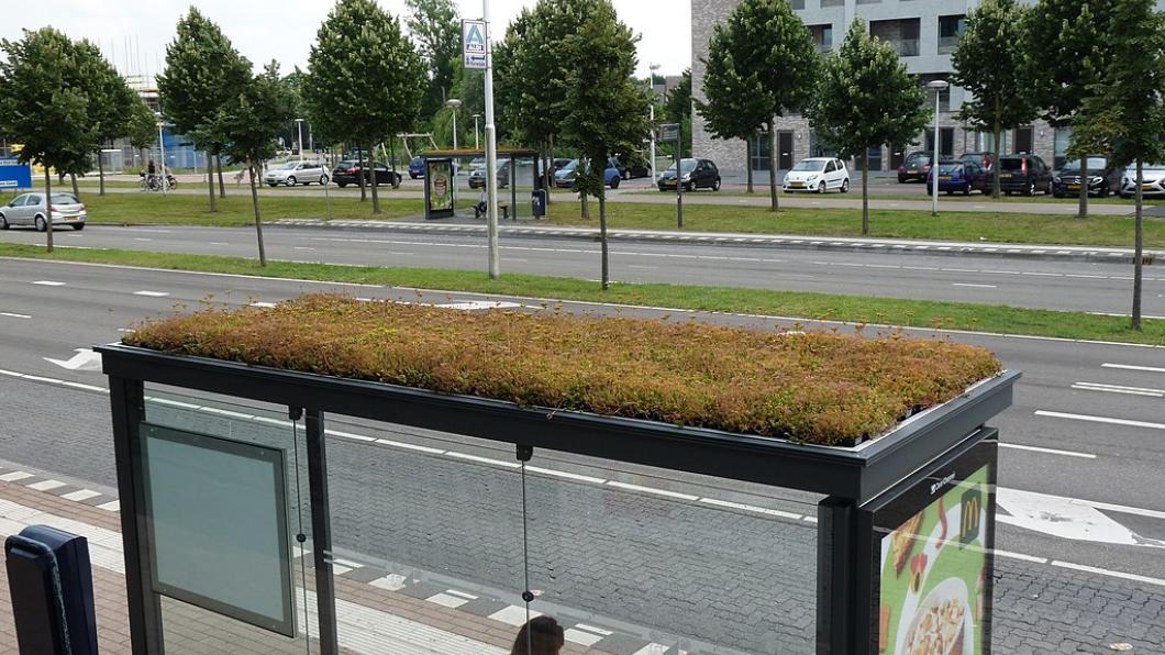 groen bushokje utrecht.jpg