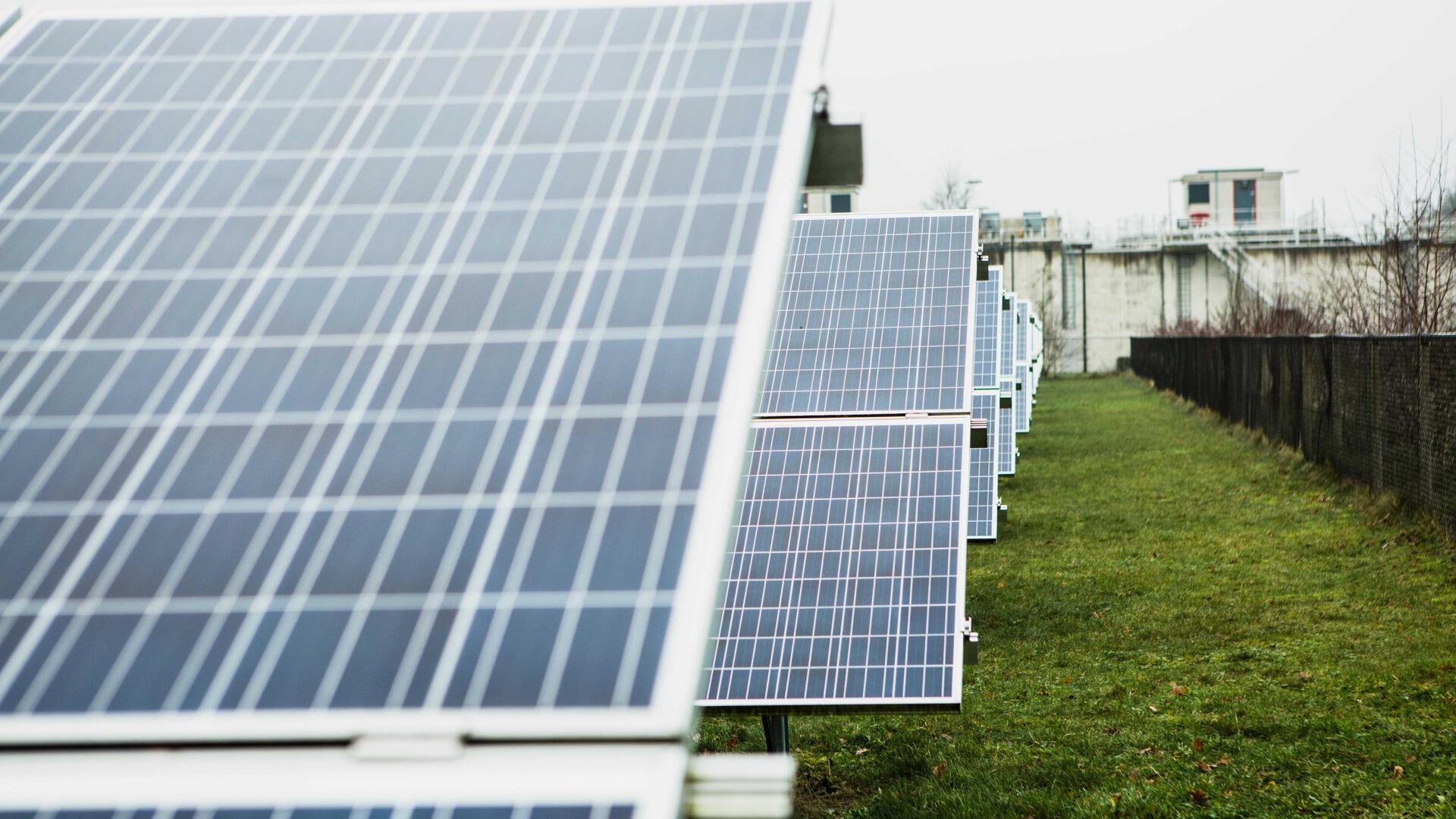 Zonnepanelen