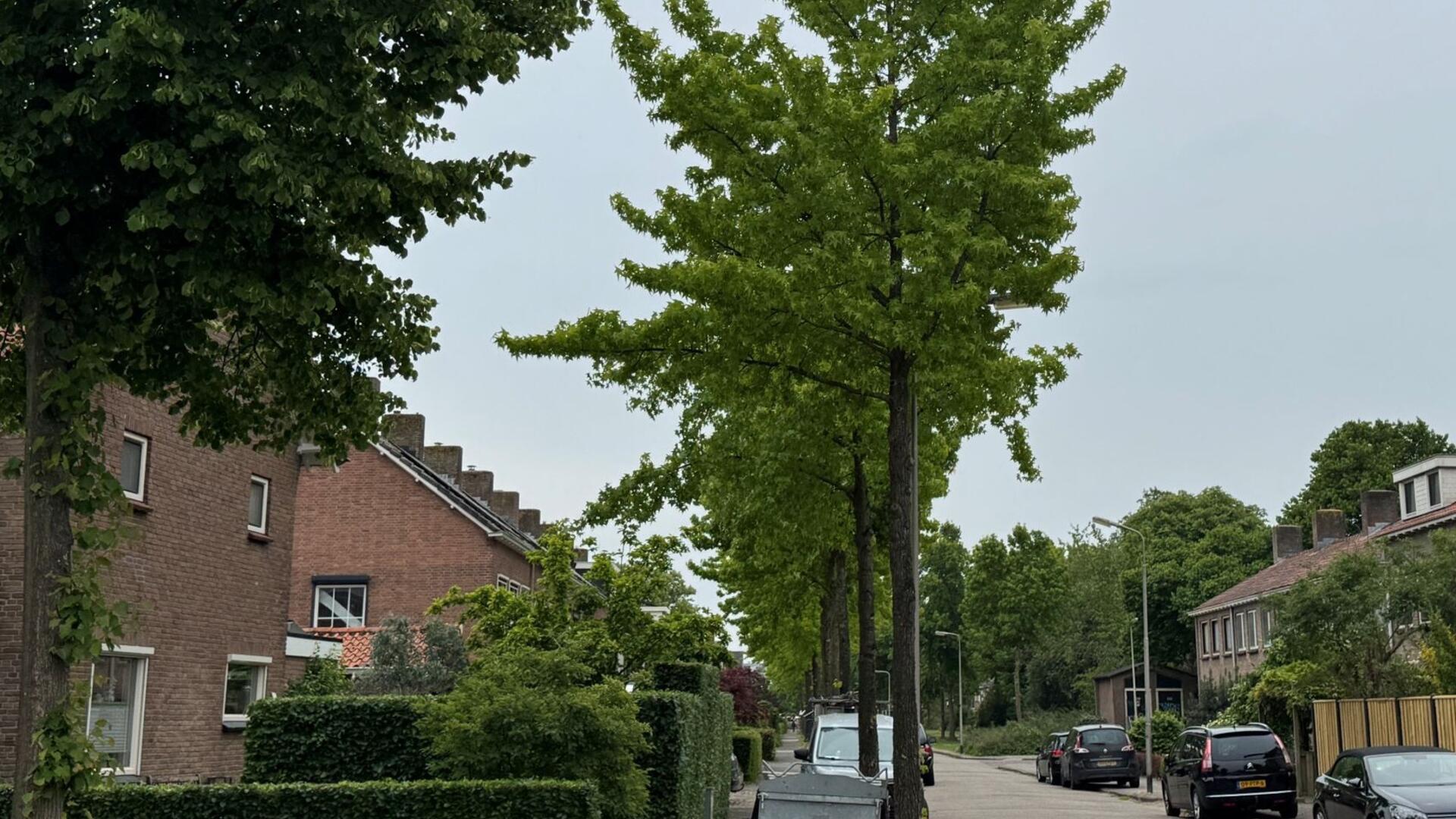 Straat met huizen en bomen
