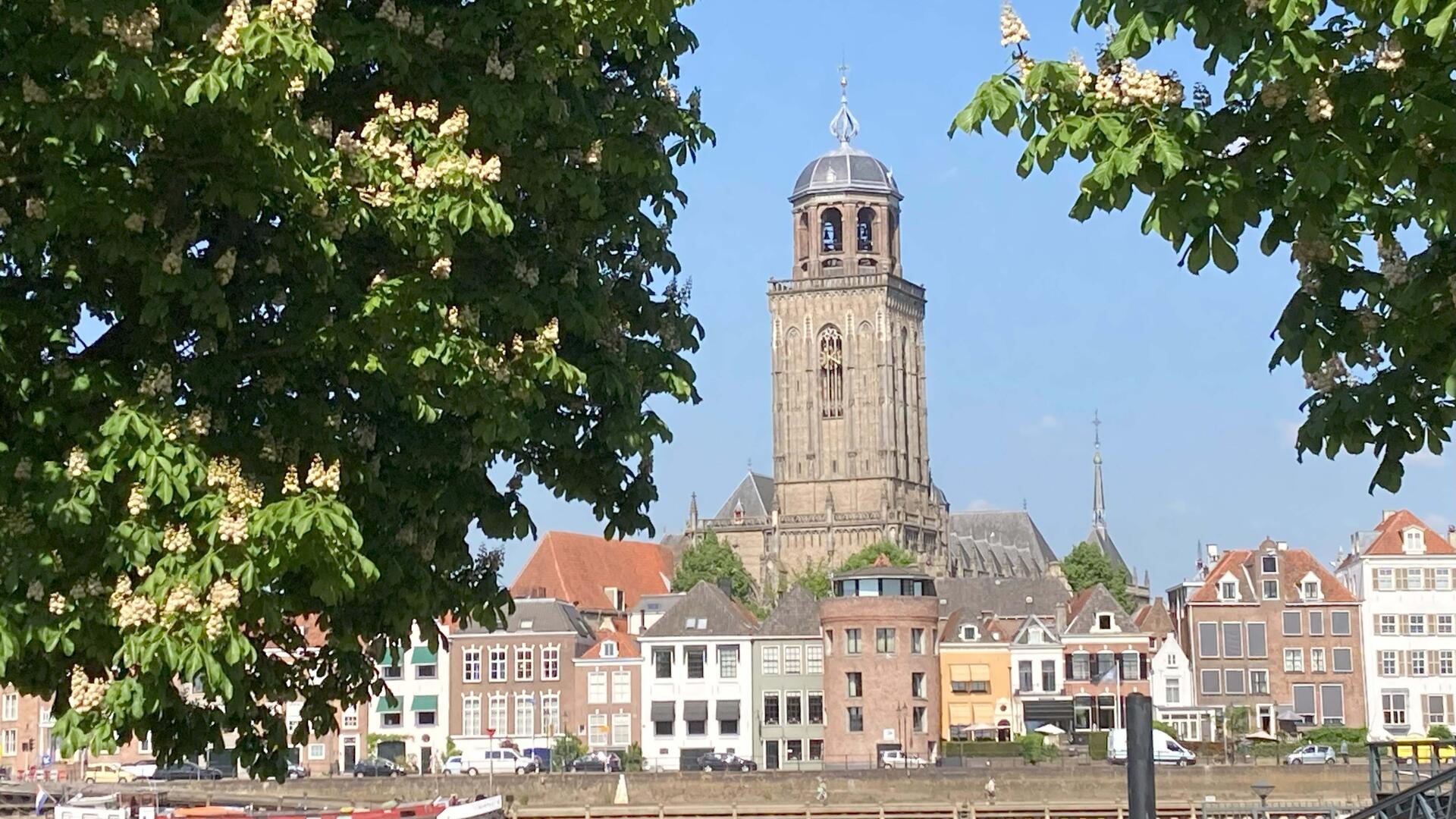 Skyline Deventer met kastanjebomen